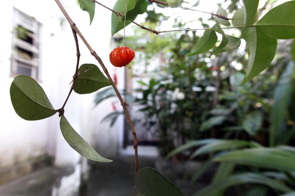 Casa Em Meio A Natureza - Ideal Para Casal Rio de Janeiro Exterior foto
